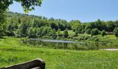 Trail Walking Saint-Hubert - WandArdBos 14 Mirwart (PVDB) - Photo 8