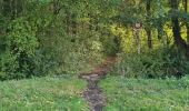 Trail Walking Villeconin - Villeconin - Photo 10