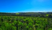 Tour Wandern Gedinne - Marche Adeps à Gedinne - Photo 15