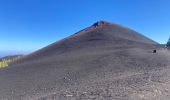 Tour Wandern El Tanque - Los partidos - Photo 18