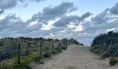 Excursión Senderismo De Panne - De Panne - Photo 11
