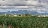 Tour Wandern Le Lamentin - Gaigneron grand parcours  - Photo 13