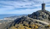 Trail Walking Collioure - MADELOC depuis col de la serra, via col formigo,  batterie 500, madeloc, col tellaferra  - Photo 2