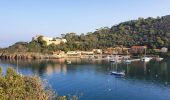 Randonnée Marche Hyères - Parc naturel de Port Cros - Photo 5