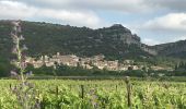 Excursión Senderismo Vacquières - Vaquières Brouzet lès Quissac par Corconne - Photo 2