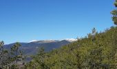 Tour Wandern Jaca - Bergosa par Jaca et Ipas - Photo 5