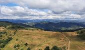 Randonnée Marche Marcols-les-Eaux - Marcols les Eaux 18km - Photo 3