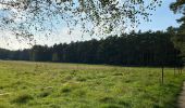 Excursión Senderismo Oud-Heverlee - Vaalbeek - Forêt de Meerdal - Photo 7