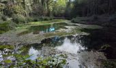 Randonnée Marche Nant - Sce du D'ourson Léa Cabanelles - Photo 16