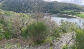 Tocht Stappen Lac de la Haute-Sûre - Bavigne 10,1 km - Photo 3