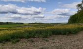 Randonnée Marche Serans - Chemin de Serans - Photo 4