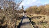 Trail Walking Oupeye - Promenade Trail Walking Oupeye - Promenade