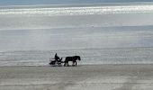 Tocht Stappen Hauteville-sur-Mer - Hauteville sur mer - Photo 2