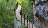 Tocht Stappen Quinson - Quinson - Basses Gorges - Chapelle Ste Maxime - Baume des Pierres - Photo 7