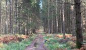 Trail Walking Libramont-Chevigny - Libramont Bois de Bernihé parcours BD - Photo 9