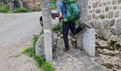 Tour Wandern Monts-de-Randon - Rando du 13/05/2024..Rieutor de Randon..Truc de Fortuneo..Lac de Charpal - Photo 6