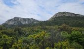 Trail Walking La Farlède - Promenade vers le petit Coudon - Photo 7