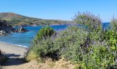 Excursión Senderismo Banyuls-sur-Mer - banyuls-Paulilles - Photo 1