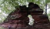 Tocht Te voet Birkenhördt - Bad Bergzaberner Landweg - Photo 10