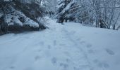 Tocht Sneeuwschoenen Lans-en-Vercors - départ les barnes Lans - Photo 11