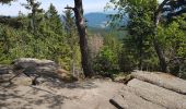 Tour Wandern Markirch - Col du Haut de Ribeauvillé - Rochers des Géants (Rother n°31) - Photo 19