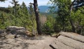 Tour Wandern Markirch - Col du Haut de Ribeauvillé - Rochers des Géants (Rother n°31) - Photo 19