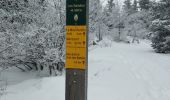 Tour Wandern Lans-en-Vercors - vertige des cimes  - Photo 2