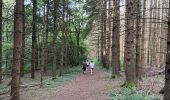 Tocht Stappen Plateau-des-Petites-Roches - Cascade du Douix - Photo 8