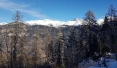 Tour Skiwanderen Le Lauzet-Ubaye - Tête du vallon du Loup - Photo 11