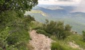 Trail On foot Plan-d'Aups-Sainte-Baume - Massif Sainte Baume et pas de l’Aï 15 km - Photo 18