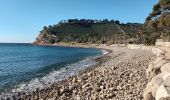 Excursión Senderismo Saint-Mandrier-sur-Mer - Le littoral de St Mandrier-21-01-21 - Photo 2