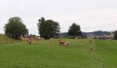 Percorso A piedi Wohlen bei Bern - Illiswil - Weiermatt - Photo 3