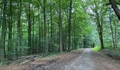 Trail Walking Raeren - Hauset 22,8 km - Photo 5