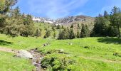 Trail Walking Les Adrets - LE GROS CAILLOU PAR LA COLONIE - Photo 19