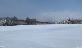 Tocht Sneeuwschoenen Malmedy - Randonnée raquettes Mont Spinette-Malmédy - Photo 5