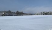 Excursión Raquetas de nieve Malmedy - Randonnée raquettes Mont Spinette-Malmédy - Photo 5