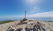 Tocht Stappen Plateau-des-Petites-Roches - Dent de Crolles  - Photo 5