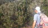 Trail Walking Sainte-Maxime - Circuit du Deffend 12.3.23 - Photo 7