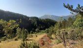 Tocht Stappen La Roche-des-Arnauds - Circuit de la Gerle - Photo 5