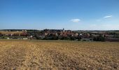 Excursión A pie Großrinderfeld - Liebliches Taubertal – Rundwanderweg 12 – Bildstöcke und Wegkreuze - Photo 8