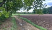 Tour Wandern Aarschot - Gelrode -Arschot - Photo 4