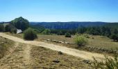 Trail Walking Le Rozier - corniche du Tarn et de la Jonte - Photo 8