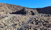 Excursión Senderismo La Orotava - Sommet du Teide - Photo 6