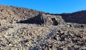 Trail Walking La Orotava - Sommet du Teide - Photo 6