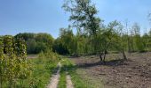 Tour Zu Fuß Bertem - Bertem variante - Photo 10