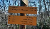 Tour Wandern Laborel - cretes de chamousse - Photo 1