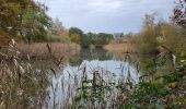 Randonnée A pied Zonhoven - Platwijers-Wijvenheide Gele zeshoek - Photo 3