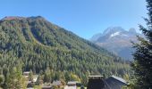 Tocht Stappen Chamonix-Mont-Blanc - 20231011 Montroc Le Tour - Photo 7