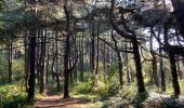Trail Walking Le Crotoy - Vers Le Crotoy - Photo 1