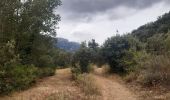 Trail Walking Duilhac-sous-Peyrepertuse - boucle moulin de ribaute - duilhac - gorge du verdouble  - Photo 16